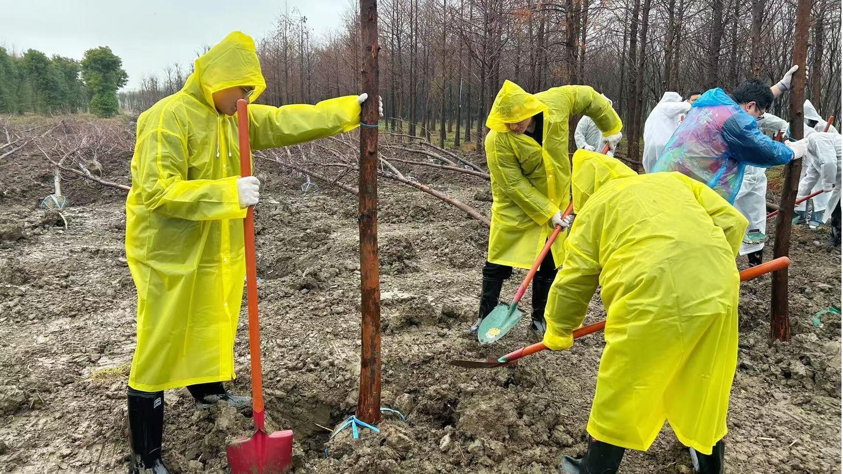 植樹節(jié) | 種下綠色希望，我們在行動！